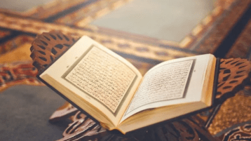 البقاء للأصلح