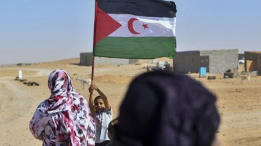 European Coordination Committee calls on Morocco to immediately release Sahrawi prisoners