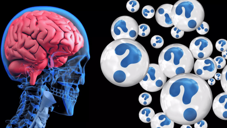 دراسة يابانية تكشف العلاقة بين حالة الأسنان ودماغ الإنسان!