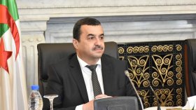 أنبوب الغاز العابر للصحراء يشق طريقه بتقدم كبير