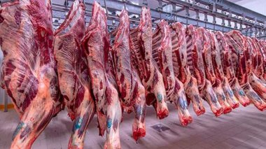 For these reasons, national traders preferred Indian and Brazilian meat to French meat