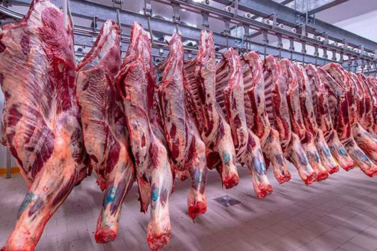 For these reasons, national traders preferred Indian and Brazilian meat to French meat