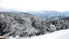 نشرية خاصة: ثلوج كثيفة وأمطار رعدية عبر هذه الولايات