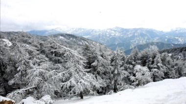 نشرية خاصة: ثلوج وأمطار غزيرة عبر هذه الولايات