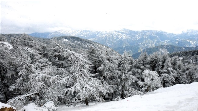 نشرية خاصة: ثلوج وأمطار غزيرة عبر هذه الولايات