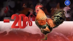 إلغاء الضريبة على القيمة المضافة لشعبة الدواجن سيساهم في تراجع الأسعار بـ20 بالمائة