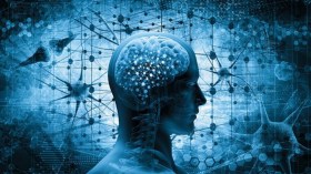 أمّة تُزري بعلمائها لحساب أعدائها