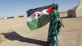 ندوة بالبرلمان الإيطالي تدعو للتعجيل بتصفية الاستعمار في الصحراء الغربية