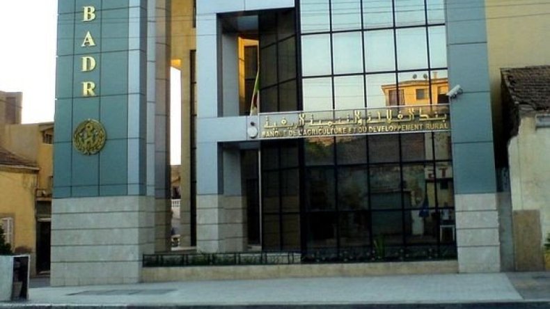 قرض الرفيق: تمويل أزيد من 199 ألف فلاح في موسم 2023/2024