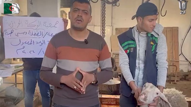 جزائريون يتبرعون بـ”عقائق” وذبائح لأهالي غزة