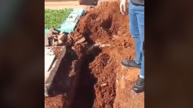 هل سُرق جثمانها أم تم تحويل قبرها؟.. جزائري يتفاجأ بقبر ابنته فارغا!