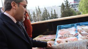 135 ألف طن من الإنتاج والصيد البحري في 2024