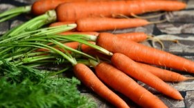 12 سببا يجعل تناول الجزر مهما جدا