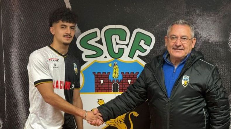 جديد نجل بلومي