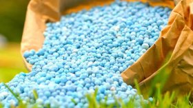 هذه خلفيات الهبة الجزائرية من الأسمدة لدولة كينيا