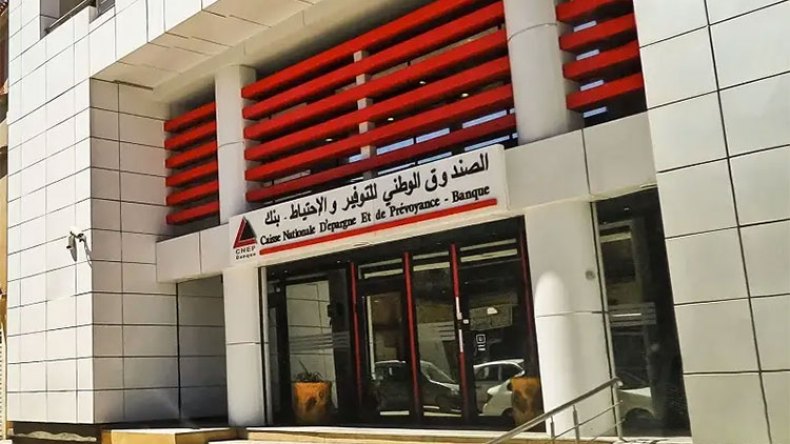 كناب – بنك: صيغة جديدة لتمويل العتاد الفلاحي قريبا