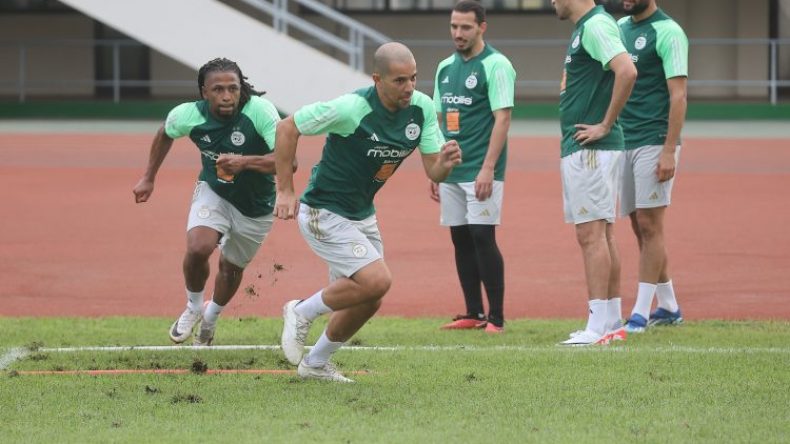 بِالفيديو: تصريحات بلماضي وبلايلي وفغولي