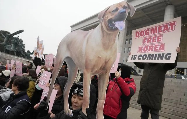 La Corée du Sud ne commercialisera plus de viande de chien