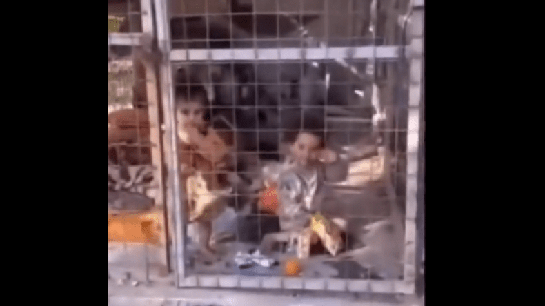 فيديو متداول لطفلين داخل قفص بحديقة يثير غضبا واسعا.. ما القصة؟