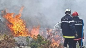 Feux de forêts: Le Gouvernement examine les mesures relatives à la protection des personnes et des biens