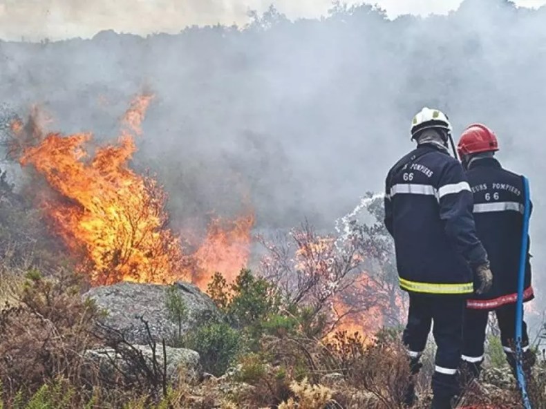 Feux de forêts: Le Gouvernement examine les mesures relatives à la protection des personnes et des biens