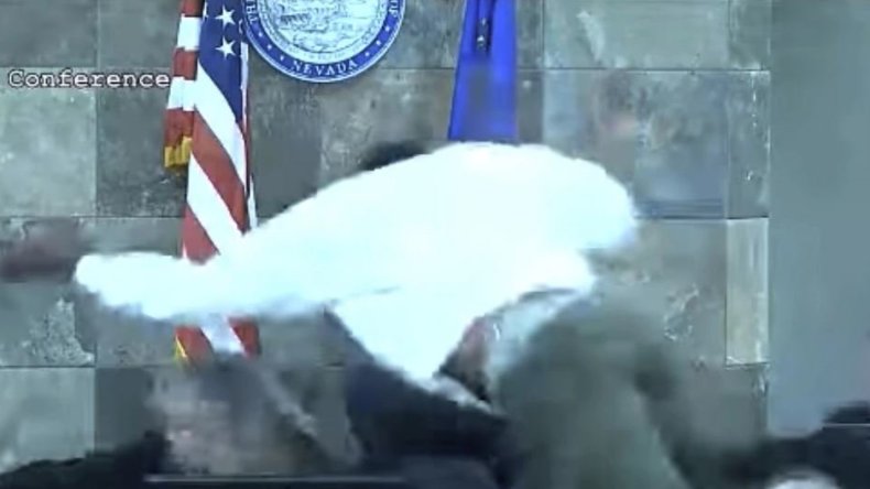 هذه حقيقة فيديو الاعتداء على قاضية أمريكية بالضرب المبرح بسبب الحرب على غزة!