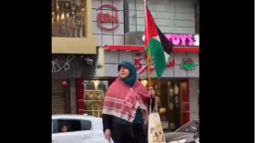 “يا رجالة يا مصريين.. فين النخوة وفين الدين”.. شاهد ما فعلته امرأة وسط القاهرة نصرة لفلسطين!