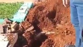 النيابة تحقق في اختفاء جثة الرضيعة بوهران