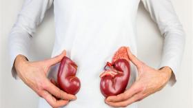 9 مشروبات تساعد على تنظيف الكلى طبيعيا