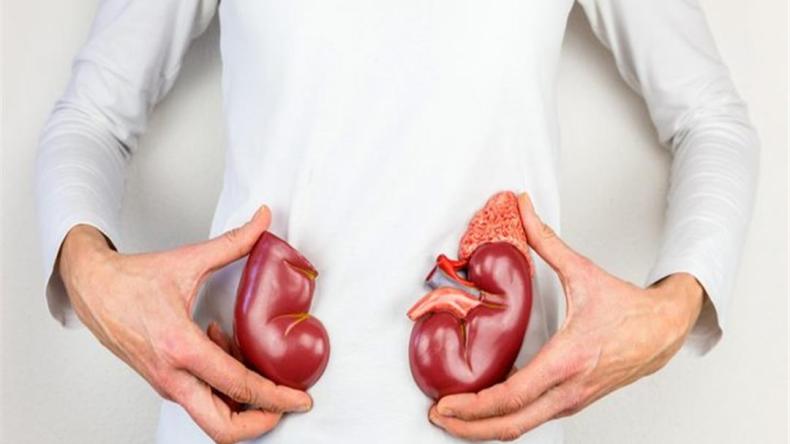 9 مشروبات تساعد على تنظيف الكلى طبيعيا