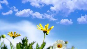 عودة الأجواء الربيعيّة في عز فصل الشتاء