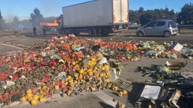 Les tomates marocaines dans le viseur des agriculteurs français