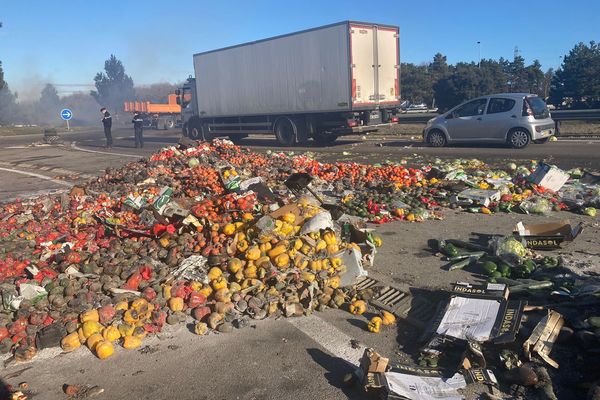 Les tomates marocaines dans le viseur des agriculteurs français