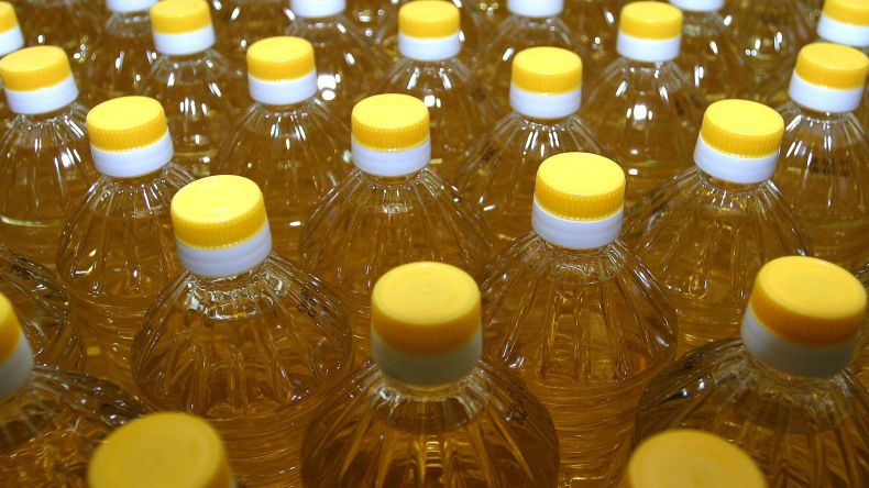 هذا موعد انطلاق الإنتاج بمشروع “كوتاما” لسحق البذور الزيتية في جيجل