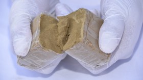 بالصور.. هذه حصيلة عمليات الجيش خلال الأسبوع الأول من السنة