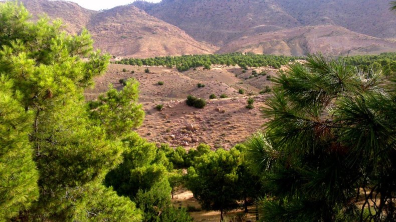 إعادة تأهيل السد الأخضر.. هذا ما أمر به شرفة