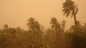 حالة الطقس: رياح وزوابع رملية عبر 4 ولايات