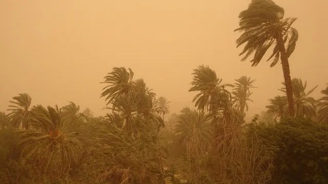 تنبيه حول الطقس: أمطار غزيرة عبر عدة ولايات