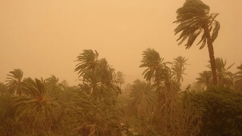 حالة الطقس: رياح وزوابع رملية عبر 4 ولايات