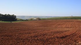 إحصاء أكثر من 63 ألف هكتار سيتم منحها عن طريق الإمتياز