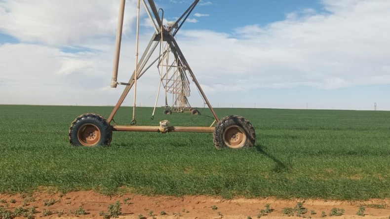 بيان هام من الديوان الوطني للأراضي الفلاحية