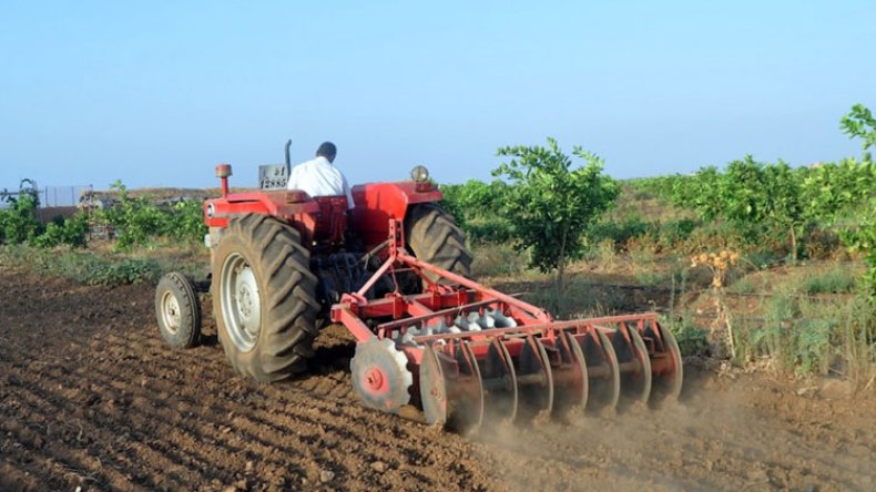 “أمطار الخير” تنعش آمال الفلاحين بموسم زراعي مُثمر