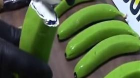 مصادرة 5700 كلغ من الكوكايين