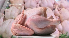 استيراد كميات من الدجاج المجمد لتحقيق الوفرة خلال رمضان.. 550 دينار للدجاجة الواحدة