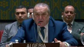 بالفيديو.. روح النضال الجزائرية تعلو على قرار مجلس الأمن الدولي في جلسة الثلاثاء