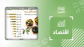 الشعوب الأكثر استهلاكا للزيتون .. الجزائر الأولى عربيا