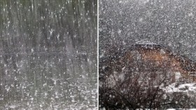 Météo Algérie: Alerte sur des pluies abondantes et de la neige sur ces wilayas