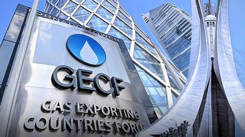 إمكانات هائلة لضمان نجاح قمة الجزائر للدول المصدّرة للغاز