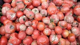 أخبار الجزائر ليوم الجمعة 23 فيفري 2024