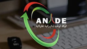 الحكومة تدرس بعث الوكالة الوطنية لدعم وتنمية المقاولاتية